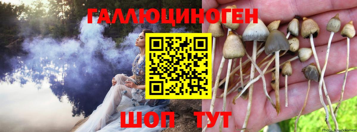Пенза  MDMA  Мефедрон кристаллы  A PVP СК   Вход с VPN  КОКАИН  Канабис  Гашиш 