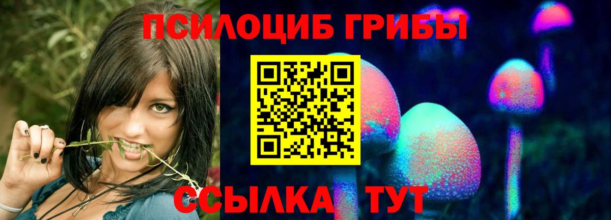 Пенза  Псилоцибиновые грибы прущие грибы  Галлюциногенные грибы мицелий  Вход с VPN 